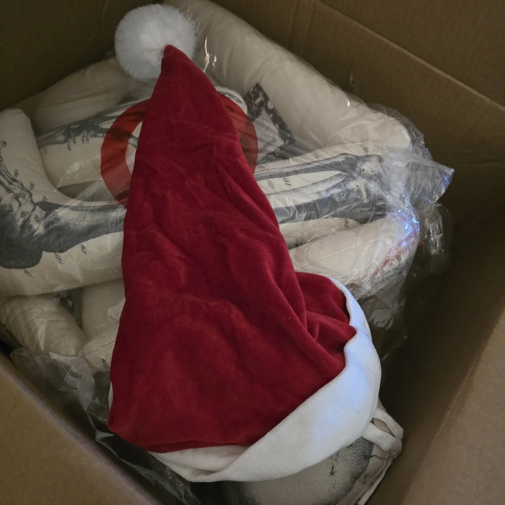 John Derian 63” Long Lost Friend BIG Skeleton Pillow Santa Hat Holiday 2025